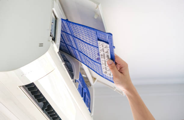 Air Duct Mold Removal in TN